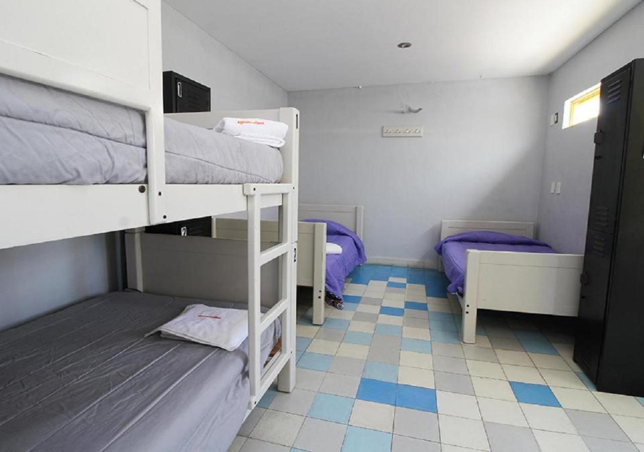 Bunk Bed in 10-Bed Mixed Dormitory Room with Shared Bathroom